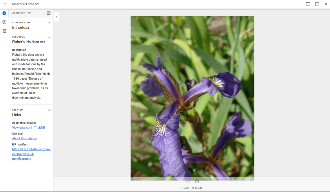 mirador iris